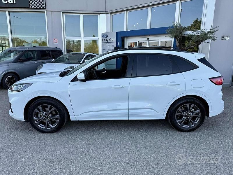 Usata Ford Kuga ST-Line 190 CV (139 kW) 2023 Bianco SUV