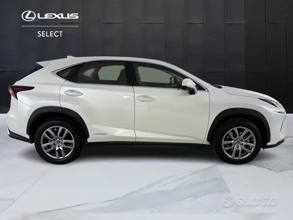 Usata Lexus NX300h 155 CV (114 kW) 2021 Bianco SUV