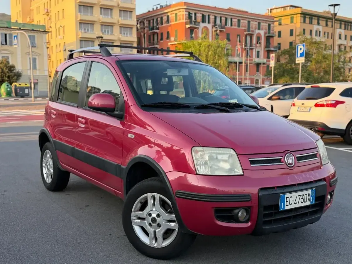 Usata Fiat Panda 4x4 Climbing 75 CV (55 kW) 2011 Viola Utilitaria