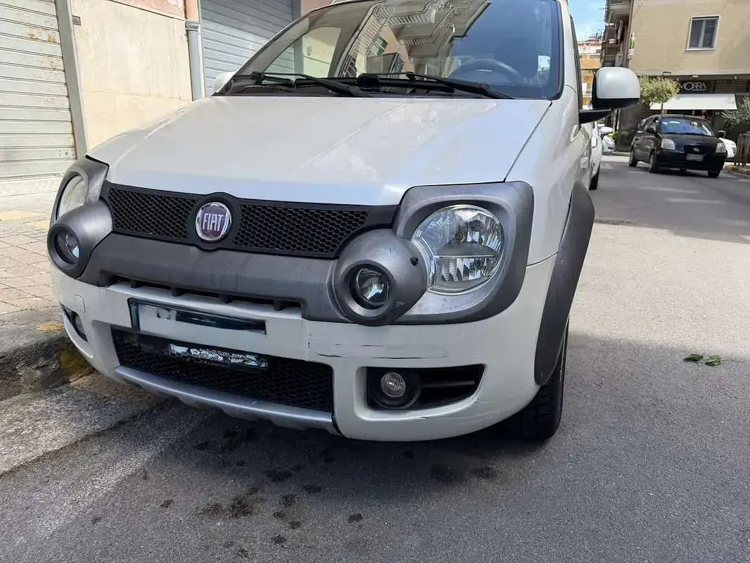 Usata Fiat Panda Cross 60 CV (44 kW) 2009 Bianco Utilitaria