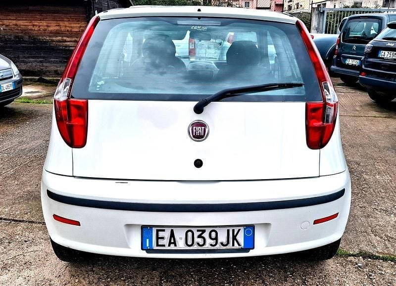 Usata Fiat Punto Active 69 CV (50 kW) 2010 Bianco Utilitaria