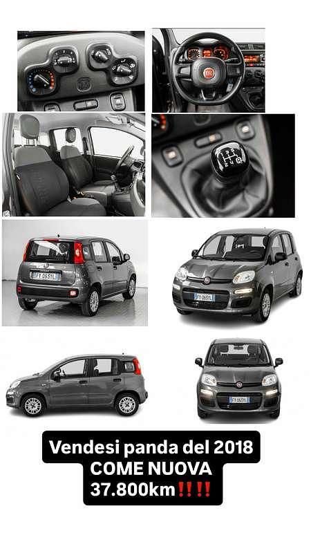 Usata Fiat Panda Cross Cross 90 CV (66 kW) 2018 Utilitaria