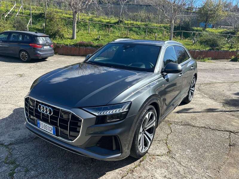 Usato 2018 Audi Q8 3.0 Diesel 286 CV (57.000 €)