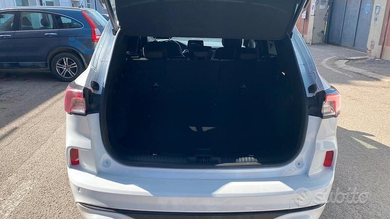 Usata Ford Kuga ST-Line 120 CV (88 kW) 2023 Bianco SUV