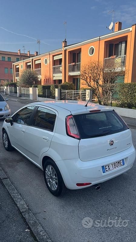 Usata Fiat Punto 2014 Bianco Berlina