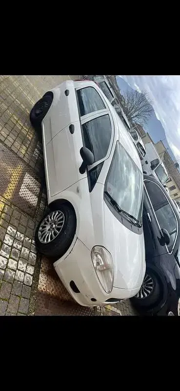 Usata Fiat Punto Easy 75 CV (55 kW) 2013 Bianco Utilitaria
