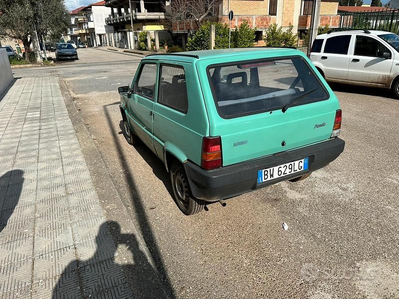 Usata Fiat Panda 54 CV (39 kW) 2001 Verde Utilitaria