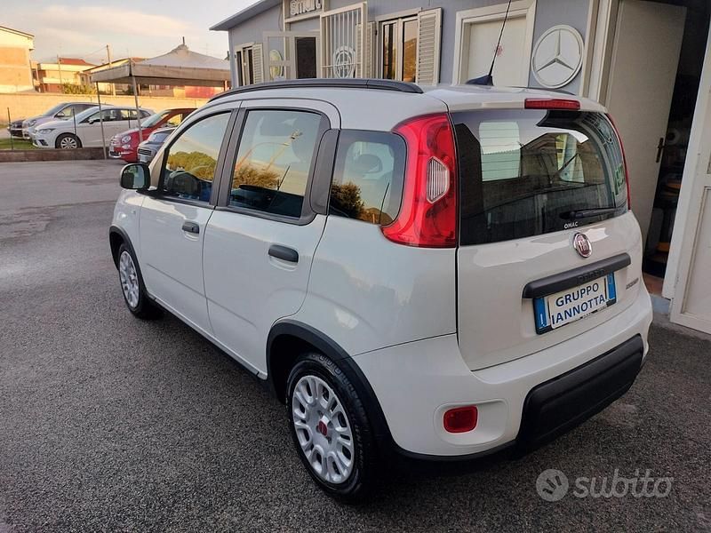 Usata Fiat Panda 70 CV (51 kW) 2023 Bianco Utilitaria