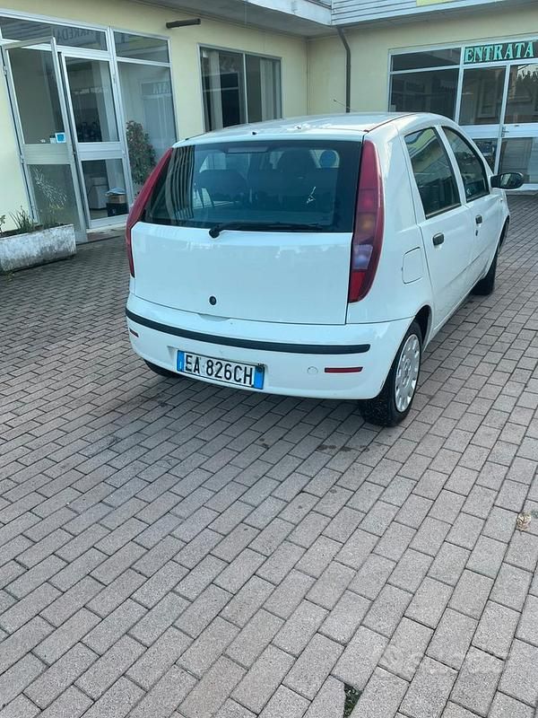 Usata Fiat Punto 77 CV (56 kW) 2010 Bianco Berlina