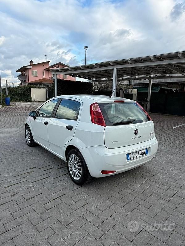 Usata Fiat Punto 75 CV (55 kW) 2015 Utilitaria