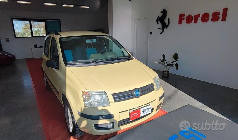 Usata Fiat Panda Dynamic 59 CV (43 kW) 2007 Giallo Utilitaria