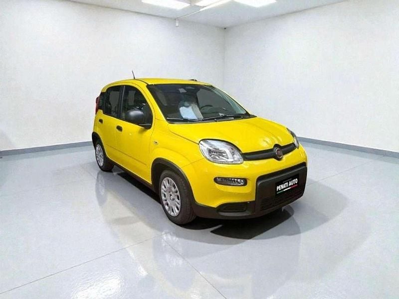 Usata Fiat Panda S 69 CV (50 kW) 2024 Giallo Utilitaria