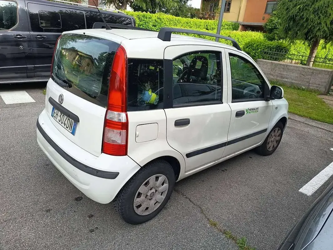 Usata Fiat Panda Dynamic 69 CV (50 kW) 2011 Bianco Utilitaria