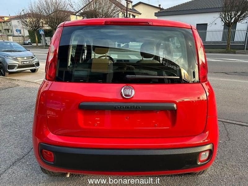 Usata Fiat Panda S 69 CV (50 kW) 2021 Rosso Utilitaria