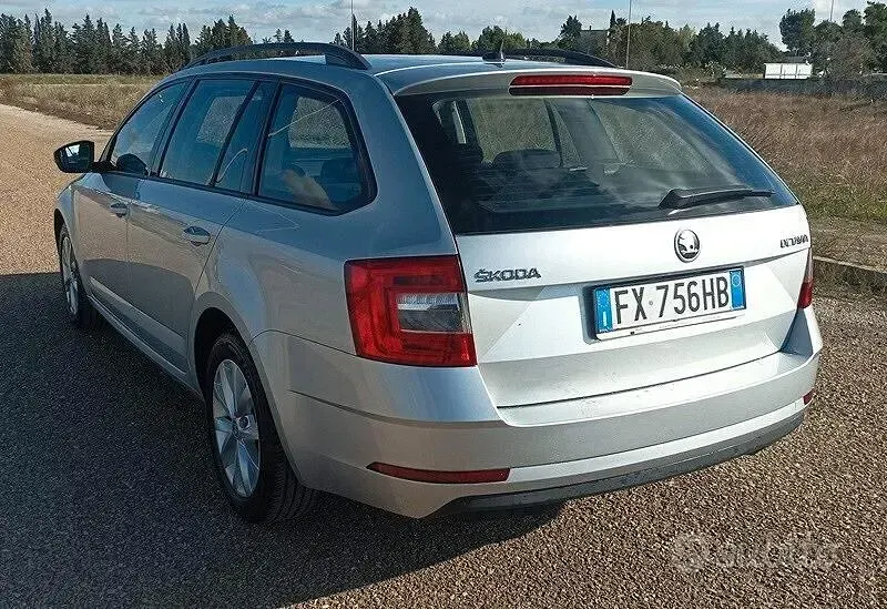 Usata Skoda Octavia Ambition 116 CV (85 kW) 2019 Grigio Station wagon