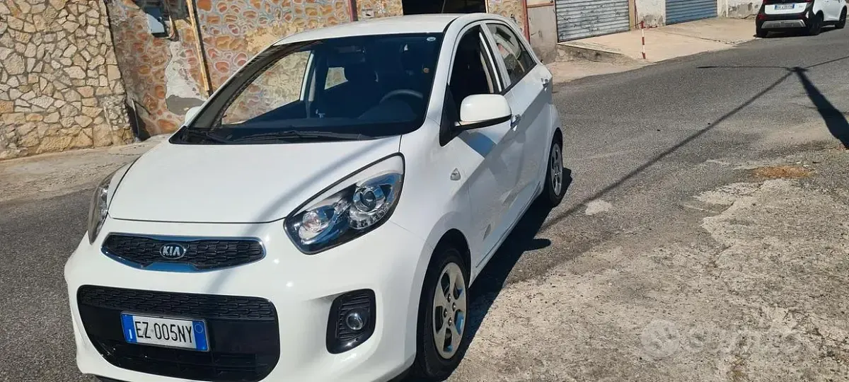 Usata Kia Picanto 67 CV (49 kW) 2015 Bianco Utilitaria