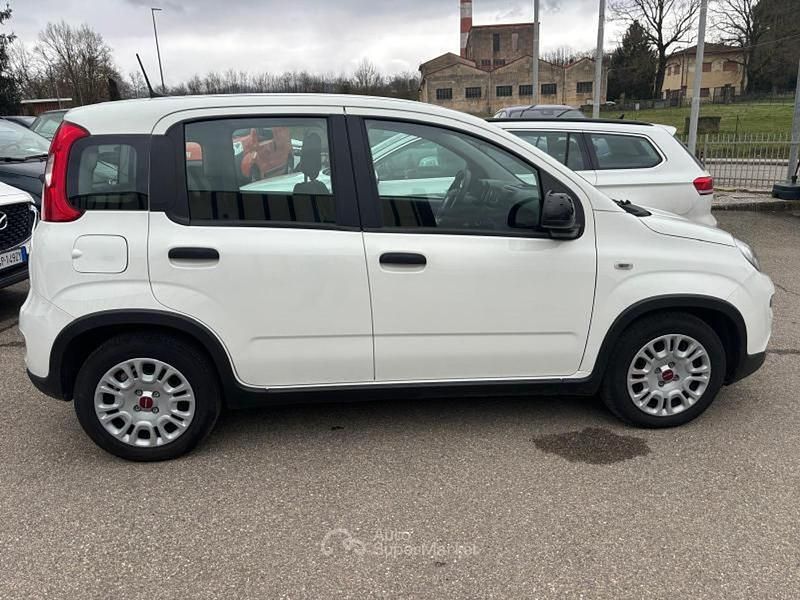 Usata Fiat Panda S 69 CV (50 kW) 2024 Bianco Utilitaria