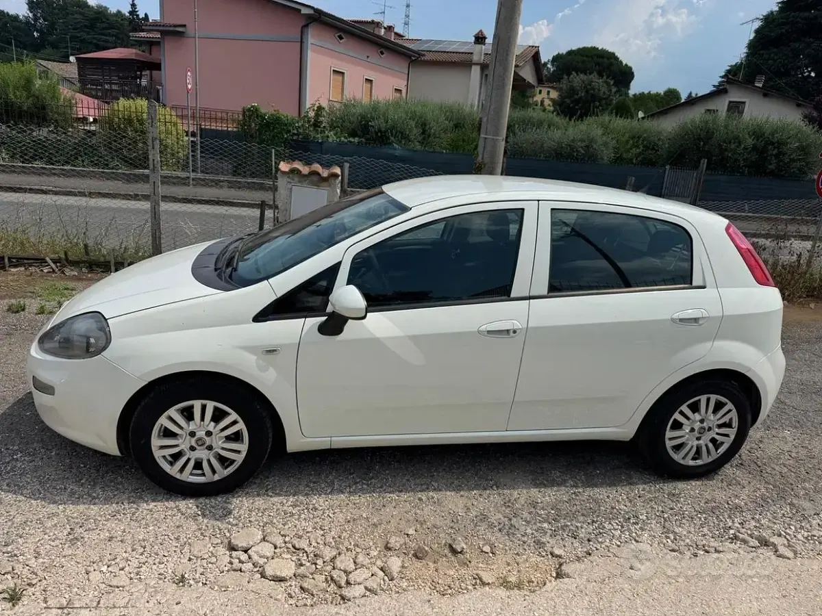 Usata Fiat Punto Lounge 95 CV (69 kW) 2016 Bianco Utilitaria