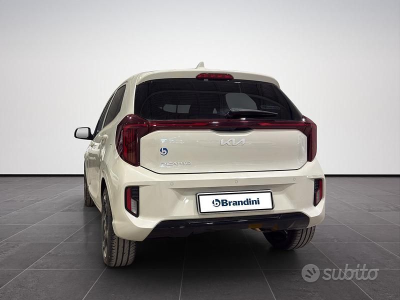 Usata Kia Picanto Style 79 CV (58 kW) 2024 Bianco Utilitaria