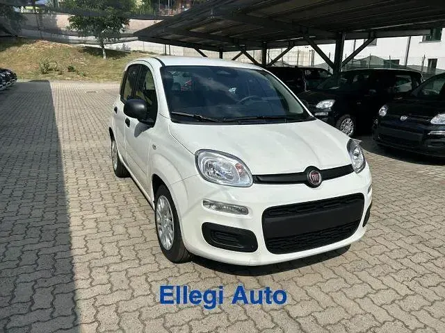 Nuova Fiat Panda Icon 69 CV (50 kW) 2026 Bianco Utilitaria