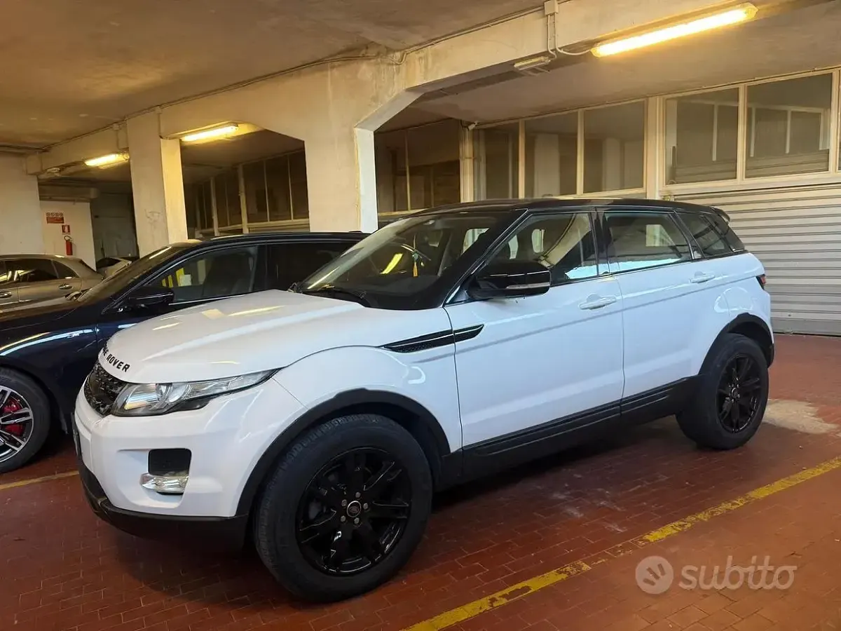 Usata Land Rover Range Rover evoque 150 CV (110 kW) 2013 Bianco SUV