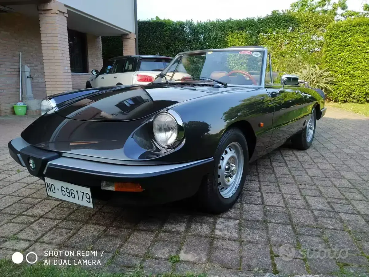 Usata Alfa Romeo Spider 104 CV (76 kW) 1984 Cabrio