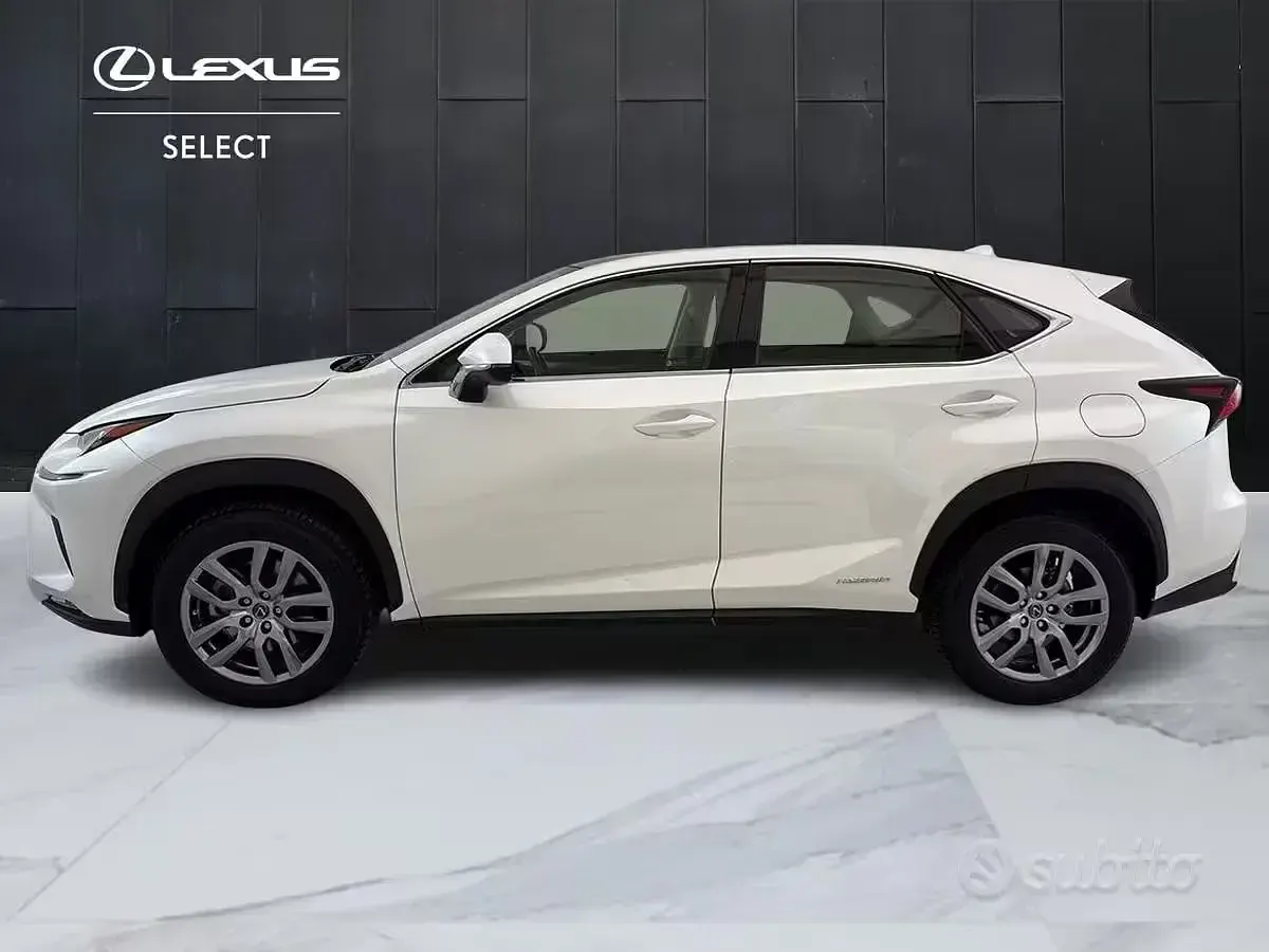 Usata Lexus NX300h 155 CV (114 kW) 2021 Bianco SUV