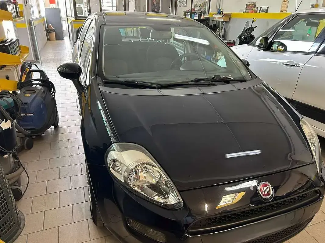 Usata Fiat Punto Lounge 77 CV (56 kW) 2016 Blu/azzurro Utilitaria