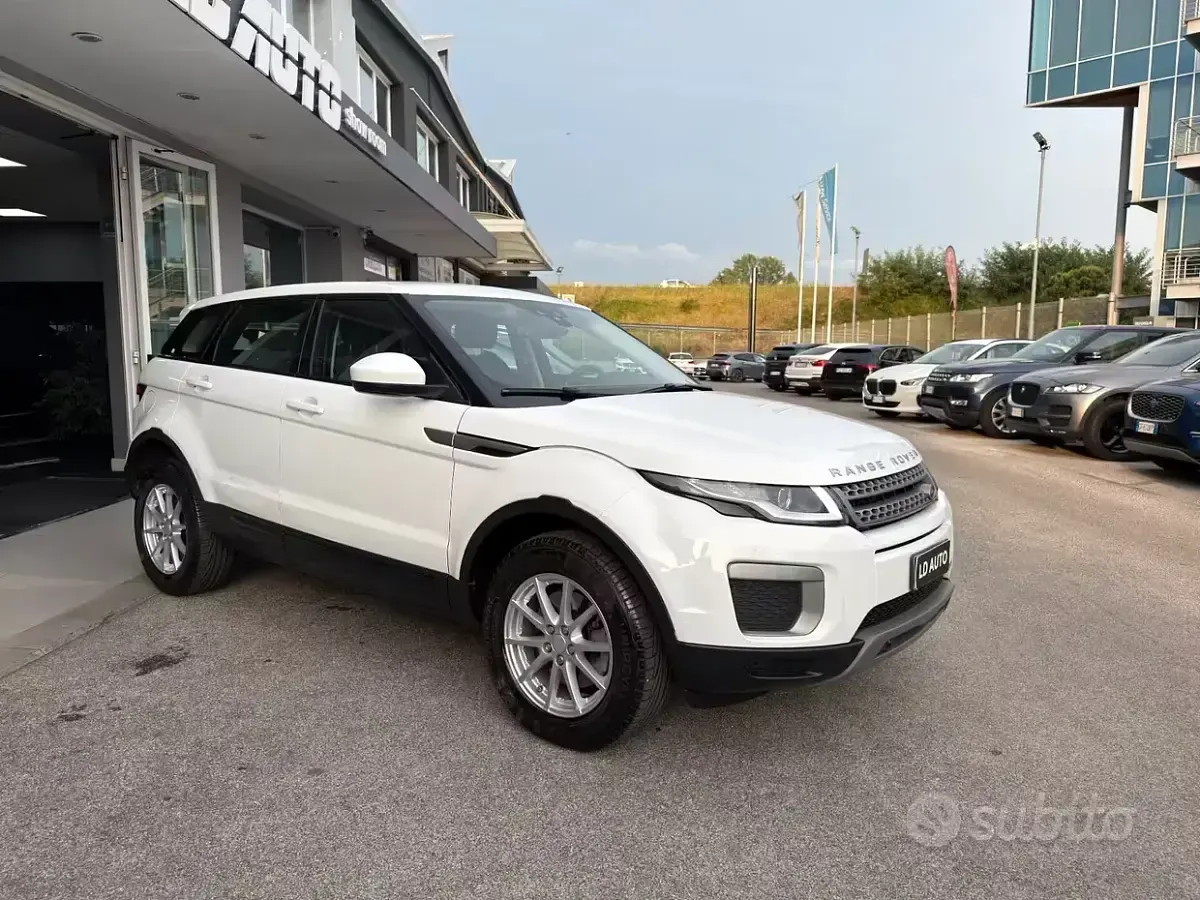 Usata Land Rover Range Rover evoque SE 150 CV (110 kW) 2016 Bianco SUV
