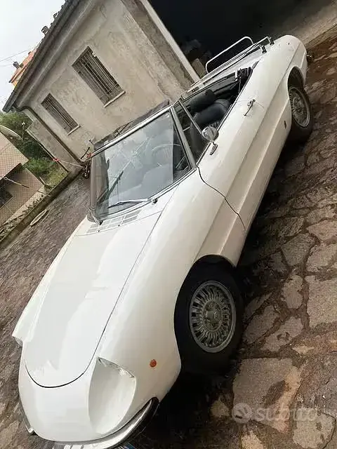 Usata Alfa Romeo Spider 1970 Bianco Cabrio