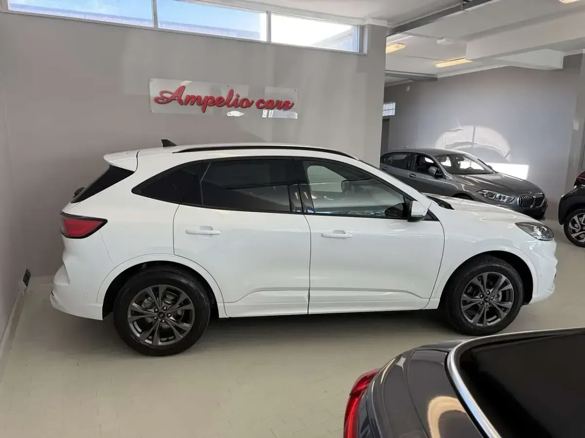 Usata Ford Kuga ST-Line X 224 CV (164 kW) 2023 Bianco SUV