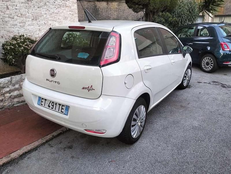 Usata Fiat Punto Easy 69 CV (50 kW) 2014 Bianco Utilitaria