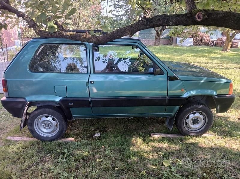 Usata Fiat Panda 4x4 Trekking 54 CV (39 kW) 2002 Verde Utilitaria