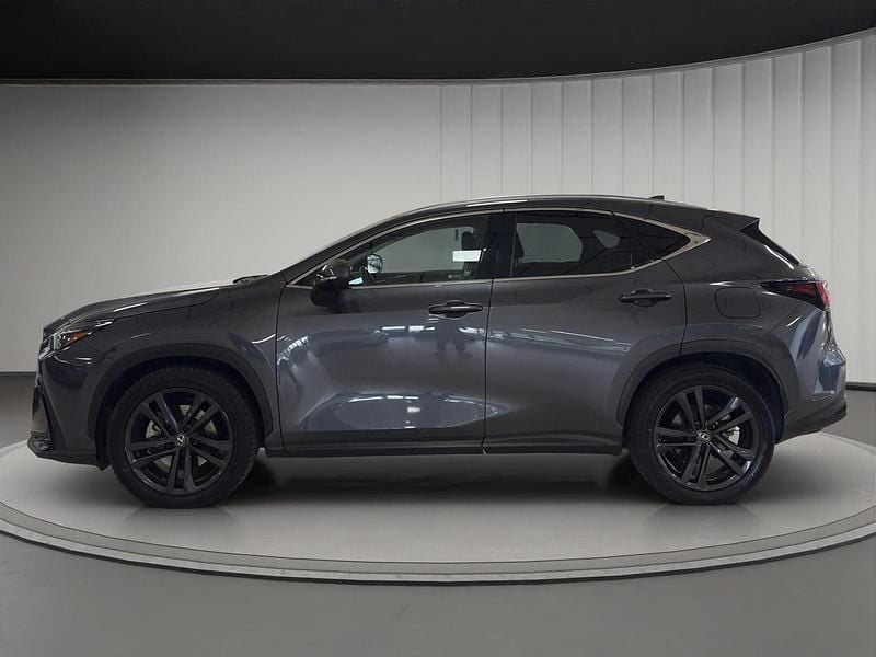 Usata Lexus NX450h+ 309 CV (227 kW) 2023 Sonic grey SUV