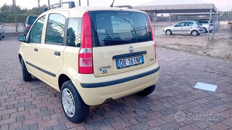 Usata Fiat Panda Dynamic 60 CV (44 kW) 2008 Giallo Utilitaria