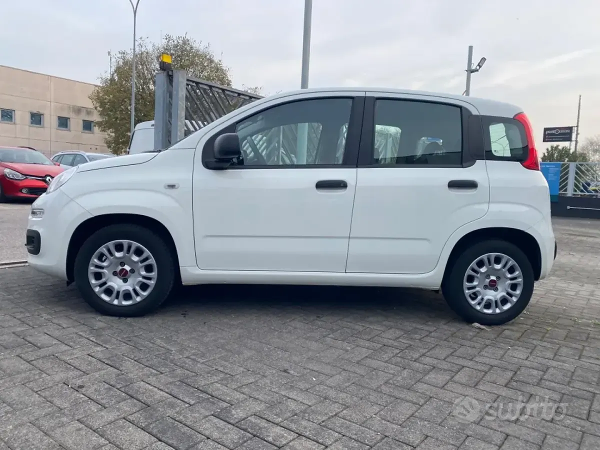 Usata Fiat Panda Easy 69 CV (50 kW) 2021 Bianco Utilitaria
