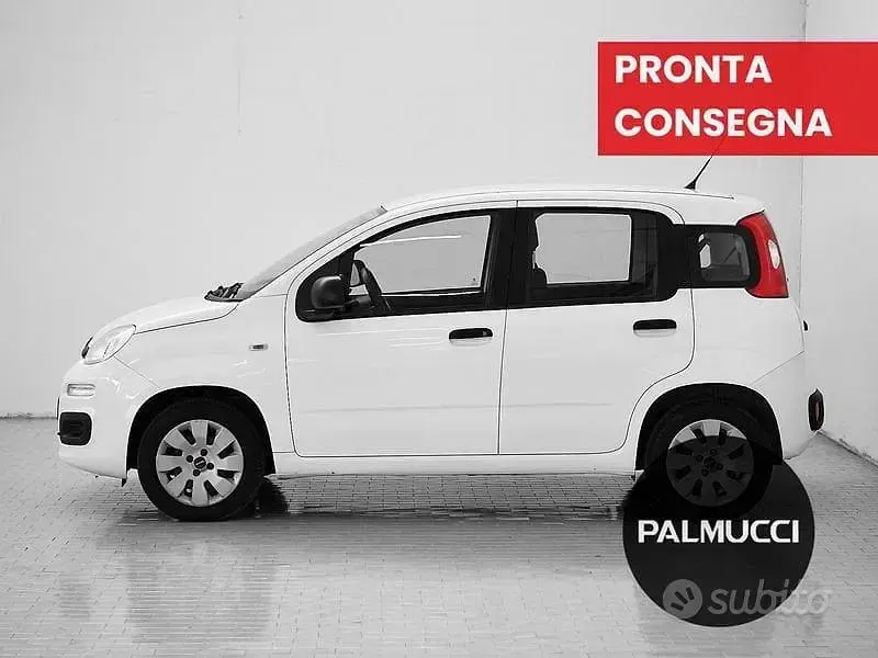 Usata Fiat Panda Easy 69 CV (50 kW) 2016 Bianco Utilitaria