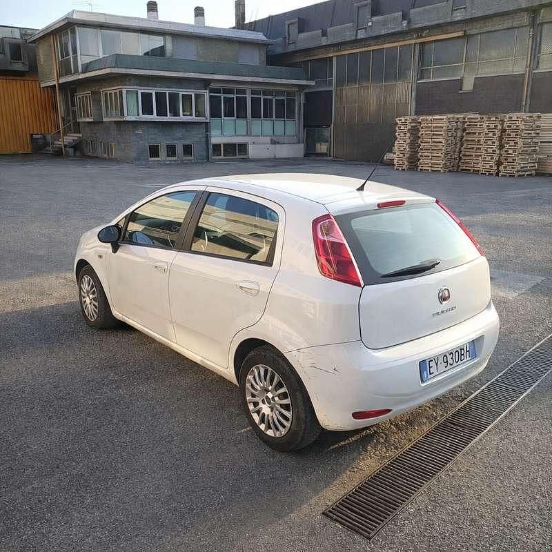 Usata Fiat Punto Easy 75 CV (55 kW) 2014 Utilitaria