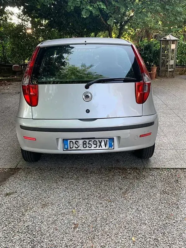 Usata Fiat Punto Active 60 CV (44 kW) 2008 Grigio Utilitaria
