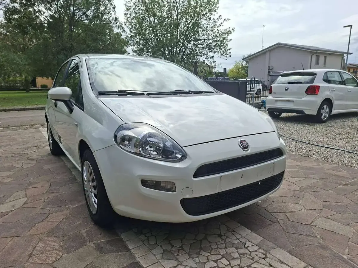 Usata Fiat Punto Pop 69 CV (50 kW) 2015 Bianco Utilitaria