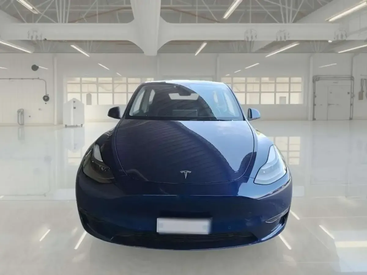 Usata Tesla Model Y Long Range AWD 152 kW (208 CV) 2022 Blu SUV