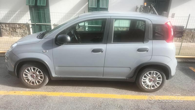 Usata Fiat Panda 2023 Utilitaria