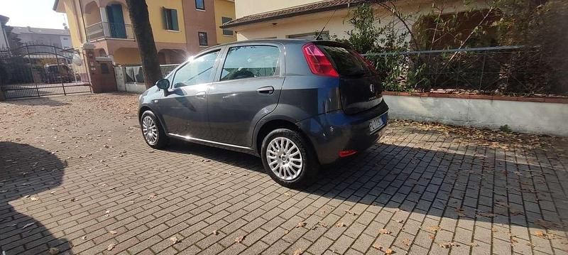 Usata Fiat Punto Lounge 69 CV (50 kW) 2017 Grigio Utilitaria