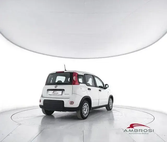 Usata Fiat Panda S 69 CV (50 kW) 2023 Bianco Utilitaria