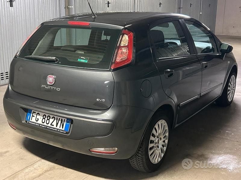 Usata Fiat Punto Evo Active 75 CV (55 kW) 2011 Grigio Utilitaria