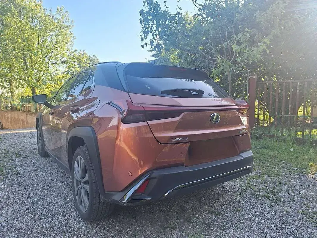 Usata Lexus UX 300h 152 CV (111 kW) 2024 Bronzo SUV