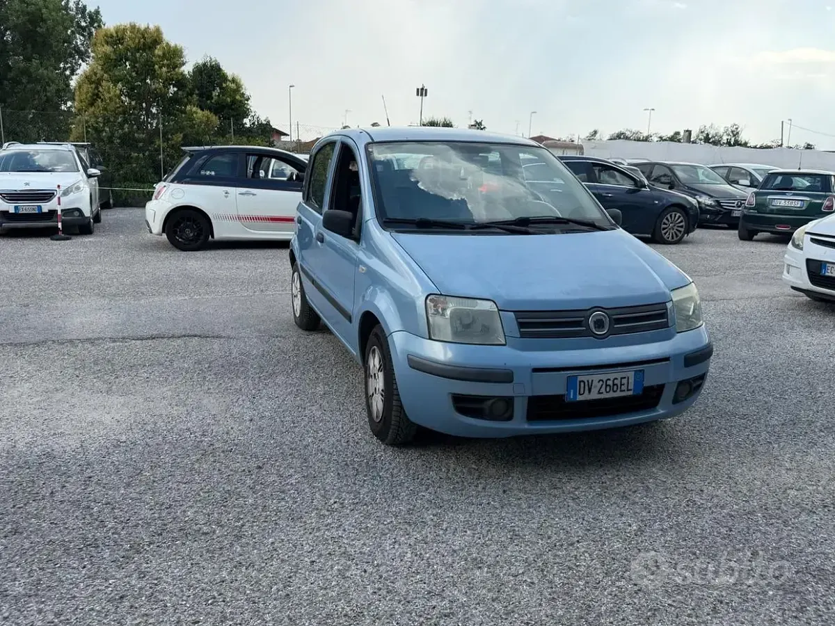 Usata Fiat Panda Dynamic 60 CV (44 kW) 2009 Bluazzurro Utilitaria