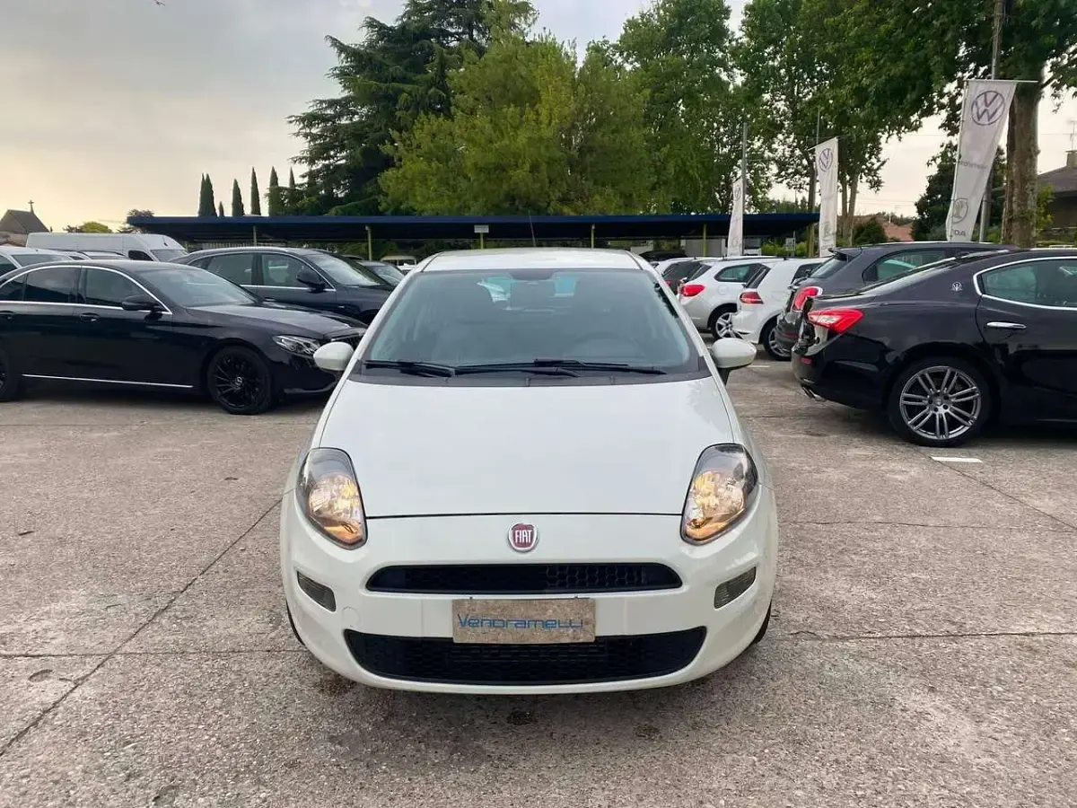 Usata Fiat Punto Lounge 84 CV (61 kW) 2012 Bianco Utilitaria