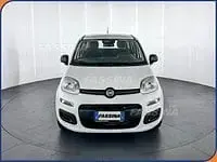 Nuova Fiat Panda Icon 65 CV (47 kW) 2026 Bianco Utilitaria