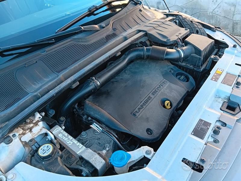 Usata Land Rover Range Rover evoque Dynamic 190 CV (139 kW) 2013 Bianco SUV